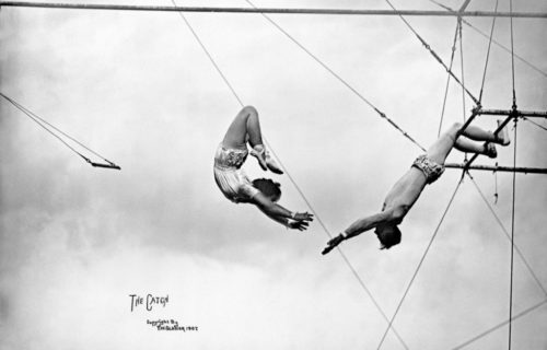 coup de foudre freelance