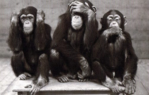 Trois erreurs des indépendants