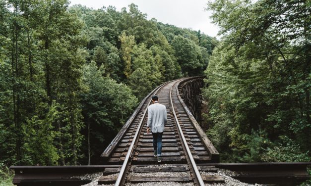 Freelance, fière carrière