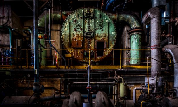 Immortelle entreprise ?