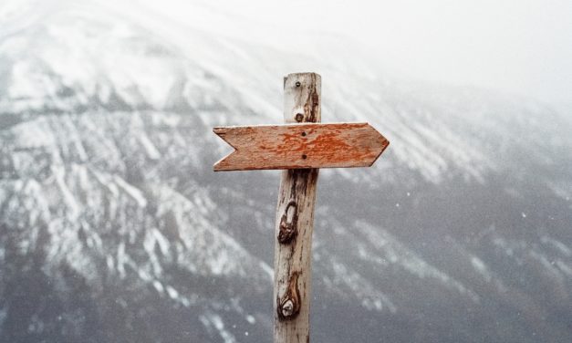 Freelances, y voir plus clair dans vos assurances