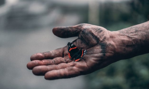 Faut-il laisser la protection sociale des freelances aux mains des plateformes ?