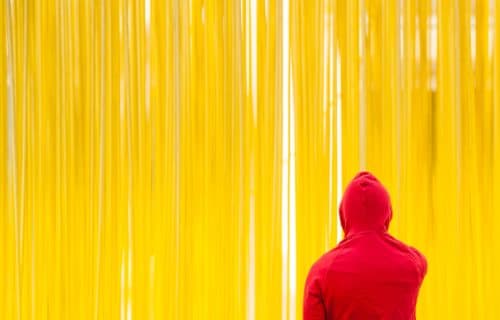 représentation des freelances