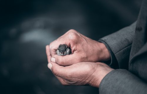 protection sociale des freelances