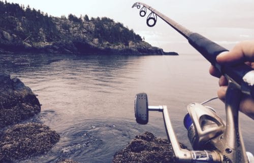 freelances revenus passifs