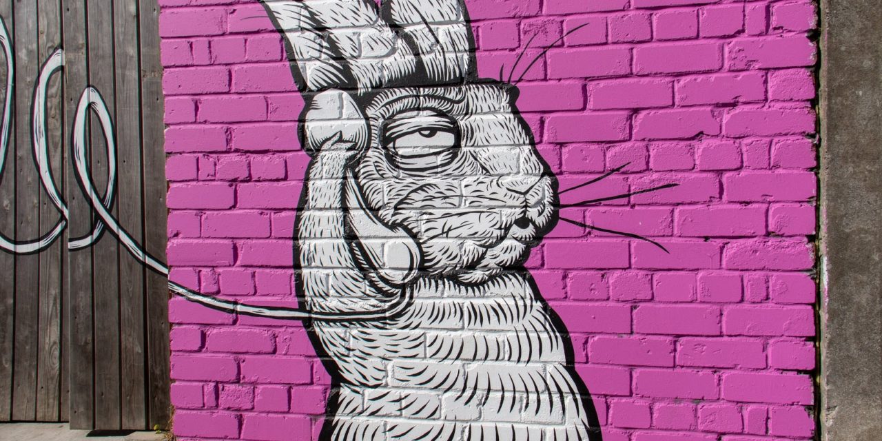 Freelance : Maîtrises-tu l’art dela visioconférence?<span class="wtr-time-wrap after-title"><span class="wtr-time-number">6</span> minutes de lecture</span>